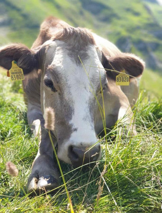 Ferienwohnungen Britta Heim Oberstaufen Buitenkant foto