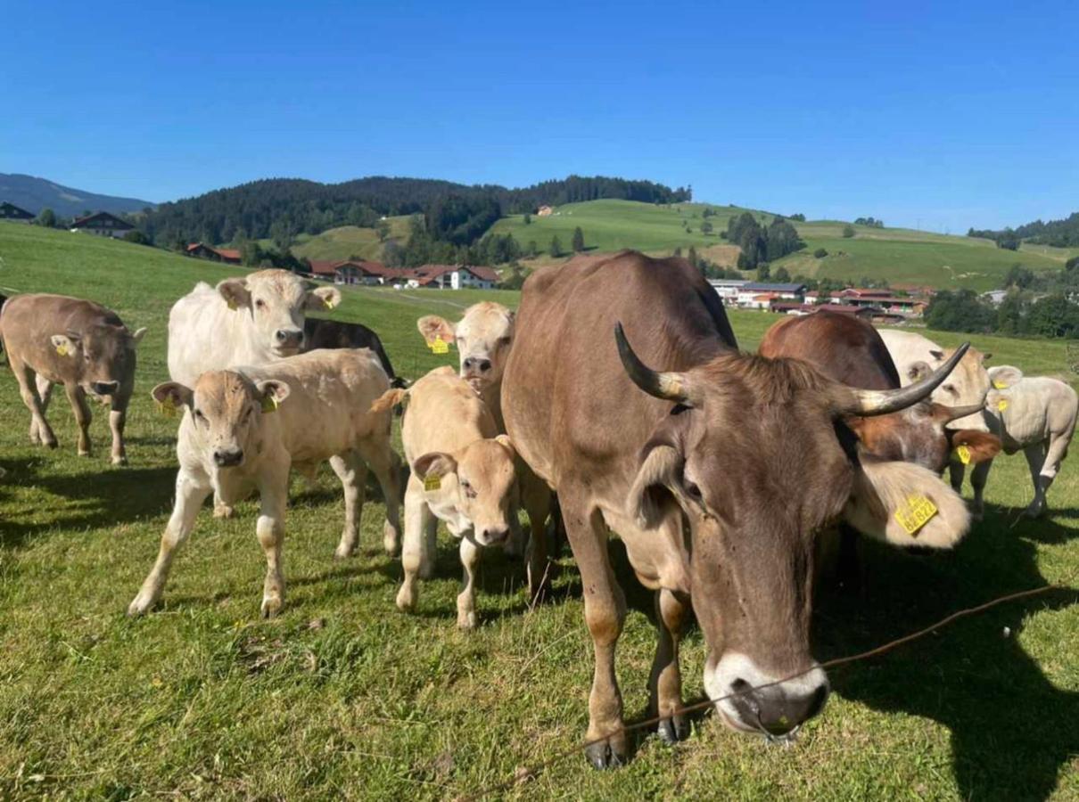 Ferienwohnungen Britta Heim Oberstaufen Buitenkant foto